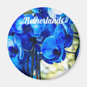 Blauwe orchideeën magneet