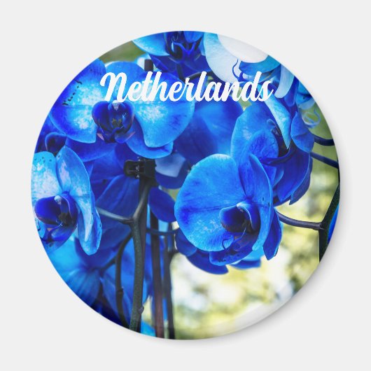 Blauwe orchideeën magneet (Voorkant)
