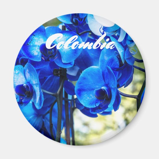 Blauwe orchideeën magneet (Voorkant)