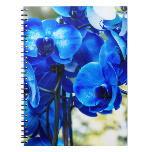 Blauwe orchideeën notitieboek (Voorkant)