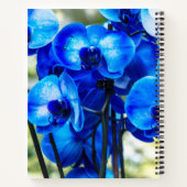 Blauwe orchideeën notitieboek (Achterkant)
