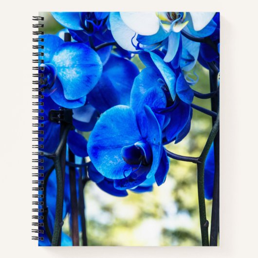 Blauwe orchideeën notitieboek (Voorkant)