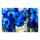 Blauwe orchideeën perfect poster (Voorkant)