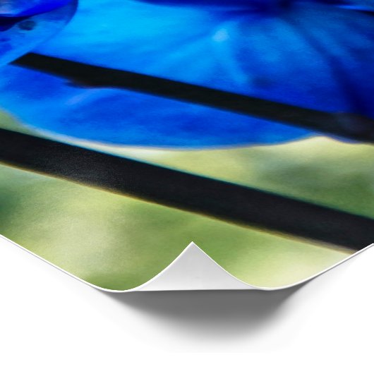 Blauwe orchideeën perfect poster (Hoek)