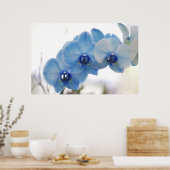 Blauwe orchideeën poster (Keuken)