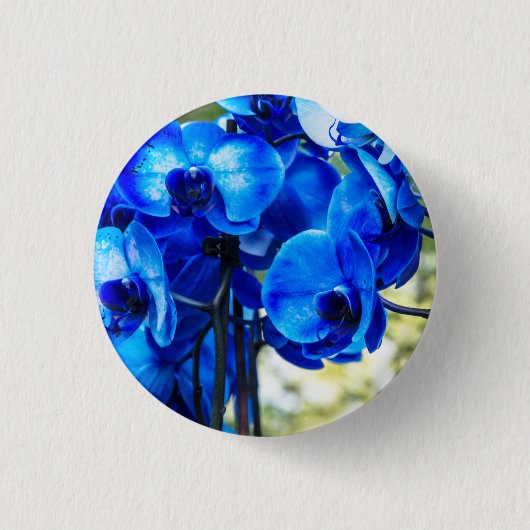 Blauwe orchideeën ronde button 3,2 cm (Voorkant)