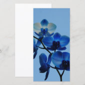 Blauwe Ordhid (Voorkant / Achterkant)