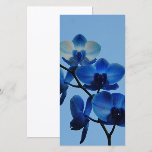 Blauwe Ordhid (Voorkant / Achterkant)