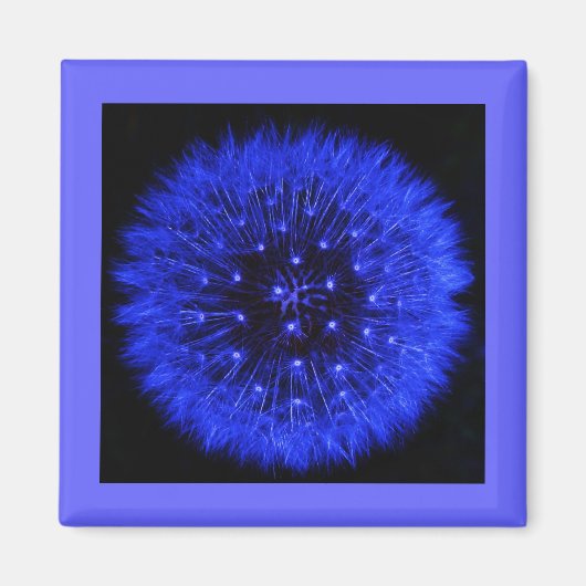 Blauwe Paardebloem Puff Design Magneet (Voorkant)