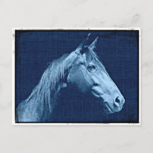 Blauwe paarden briefkaart