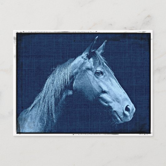 Blauwe paarden briefkaart (Voorkant)