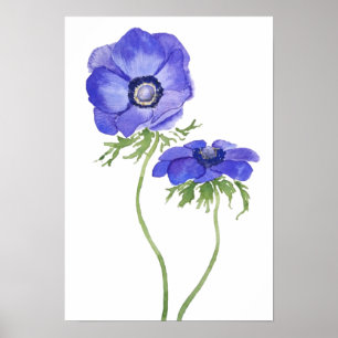 blauwe paarse anemonbloemen waterverf poster