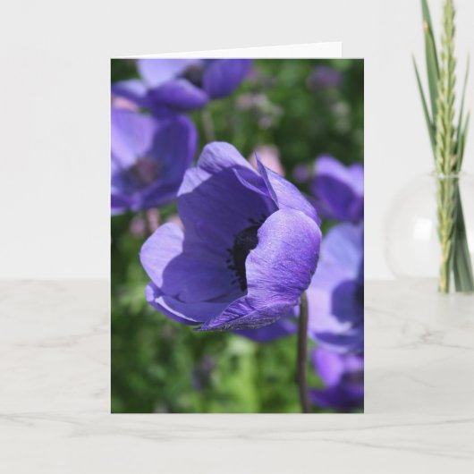 Blauwe Paarse Anemone Floral Fotografie GC Kaart (Voorkant)
