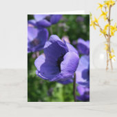 Blauwe Paarse Anemone Floral Fotografie GC Kaart (Gele Bloem)