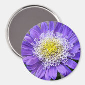 blauwe paarse bloem magneet (Voorkant / Achterkant)