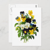 Blauwe Paarse en Gele Pansies door Redoute Briefkaart (Voorkant / Achterkant)