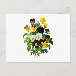 Blauwe Paarse en gele pansies van Redoute Briefkaart