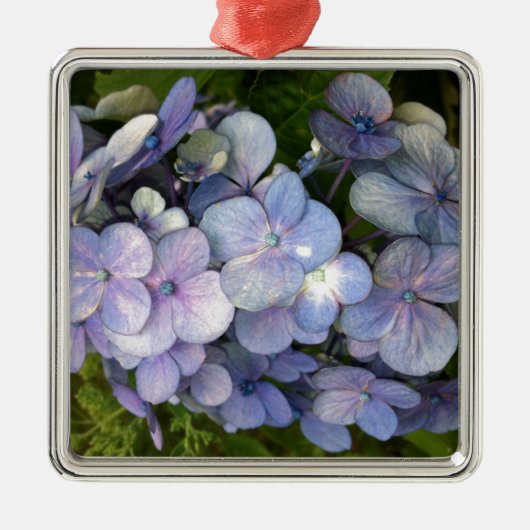 Blauwe Paarse hydrangea Metalen Ornament (Voorkant)