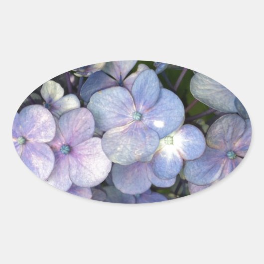 Blauwe Paarse hydrangea Ovale stickers (Voorkant)