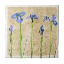 Blauwe Paarse Iris Flowers Brown Background Floral