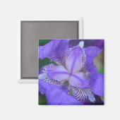 Blauwe Paarse Iris ventilator Magneet (Voorkant / Achterkant)