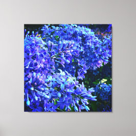 Blauwe paarse lilacs romantische blauwe foto canvas afdruk