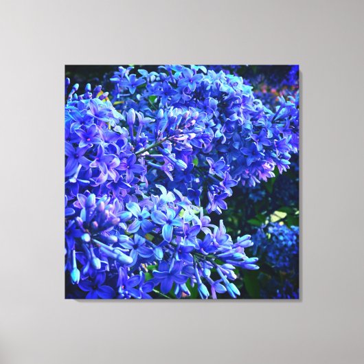 Blauwe paarse lilacs romantische blauwe foto canvas afdruk (Voorkant)