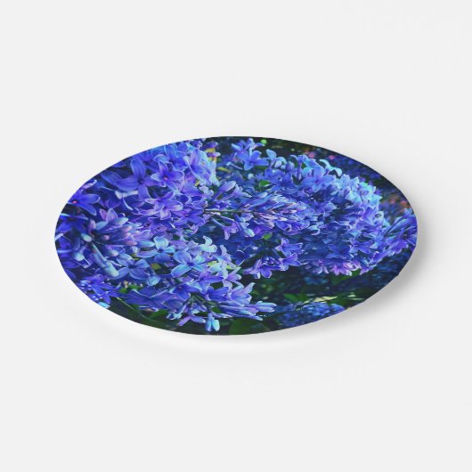Blauwe paarse lilacs romantische blauwe foto papieren bordje (Gekanteld)