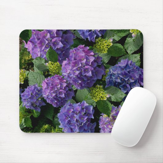 Blauwe paarse magenta Hydrangeas Muismat (Met muis)