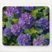 Blauwe paarse magenta Hydrangeas Muismat (Voorkant)