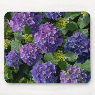 Blauwe paarse magenta Hydrangeas Muismat