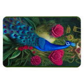 Blauwe pacock in roze Roos tuin Magneet (Horizontaal)