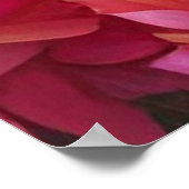 Blauwe pacock in roze Roos tuin Poster (Hoek)