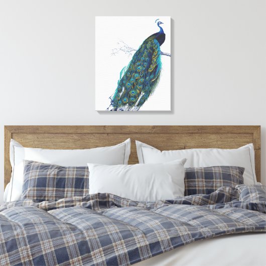 Blauwe pacock met prachtige staartwaren canvas afdruk (Insitu (Slaapkamer))
