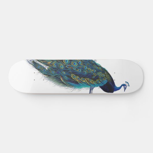 Blauwe pacock met prachtige staartwaren skateboard (Horizontaal)