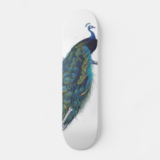 Blauwe pacock met prachtige staartwaren skateboard (Voorkant)