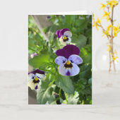 Blauwe Pansies Blank Kaart (Gele Bloem)