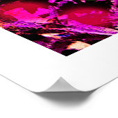 Blauwe papaver poster (Hoek)