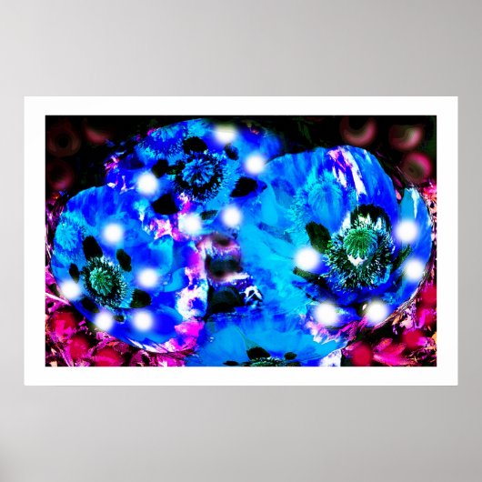 Blauwe papaver poster (Voorkant)