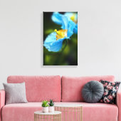 Blauwe papaverbloem Canvas druk (Insitu (Woonkamer))