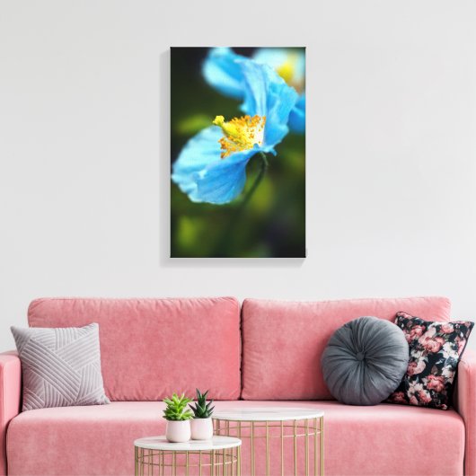 Blauwe papaverbloem Canvas druk (Insitu (Woonkamer))