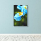 Blauwe papaverbloem Canvas druk (Insitu (Houten vloer))