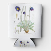 Blauwe papaverillustraties Himalayan-planten Blikjeskoeler (Voorkant)