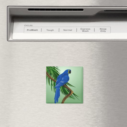 Blauwe papegaai magneet (Insitu (Vaatwasser))