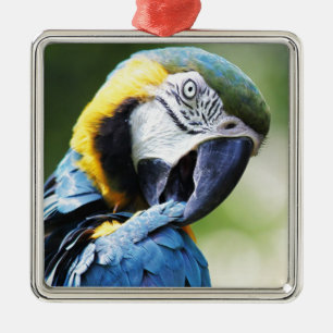 Blauwe papegaai metalen ornament