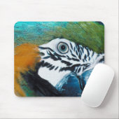 Blauwe papegaai muismat (Met muis)
