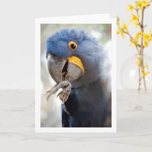 Blauwe Papegaai Portret Kaart (Gele Bloem)