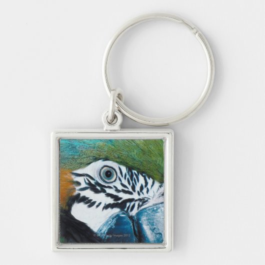 Blauwe papegaai sleutelhanger (Voorkant)