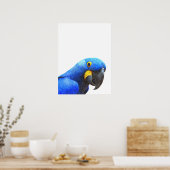 Blauwe papegaaien poster (Keuken)