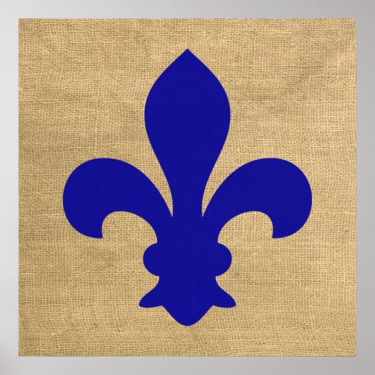 Blauwe Parijse Stemmingen Fleur de Lys Poster (Voorkant)